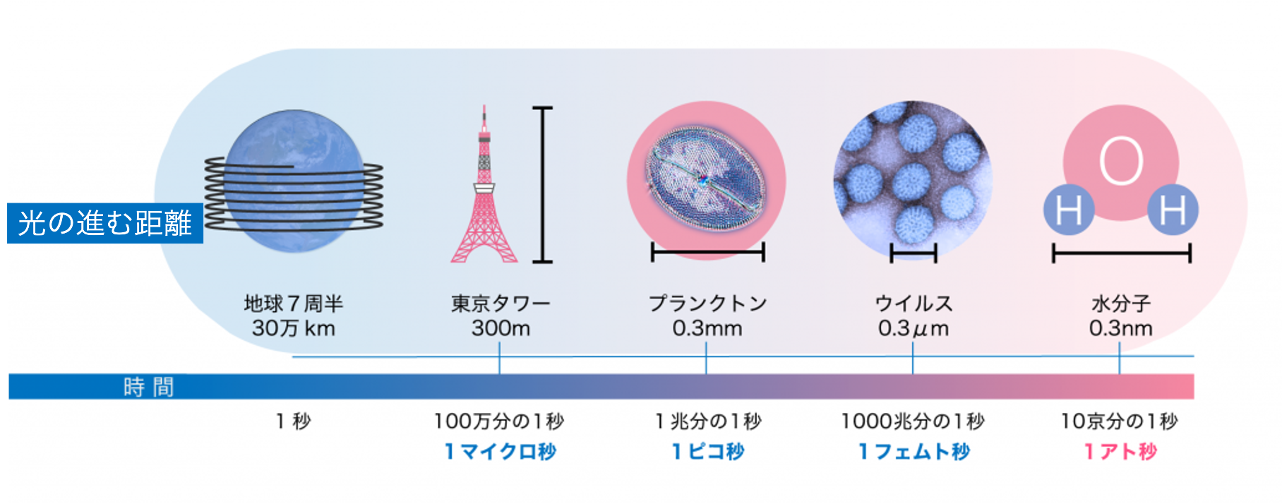 「最速のストロボ写真を撮る　～フェムト秒からアト秒へ～(ニコン)」を参考に、光響が作図