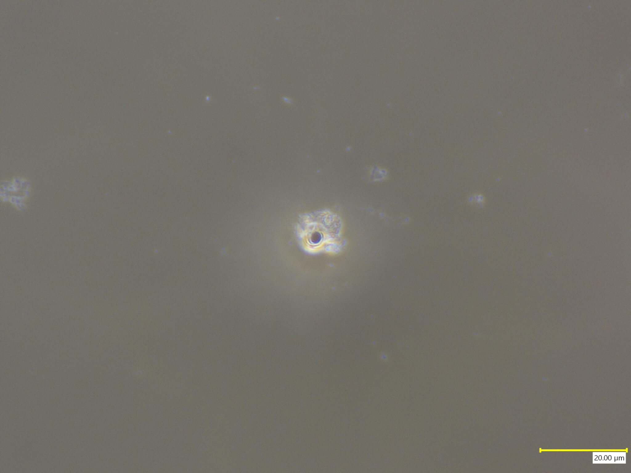 石英ガラス_穴あけ_1mm_裏面_x2000