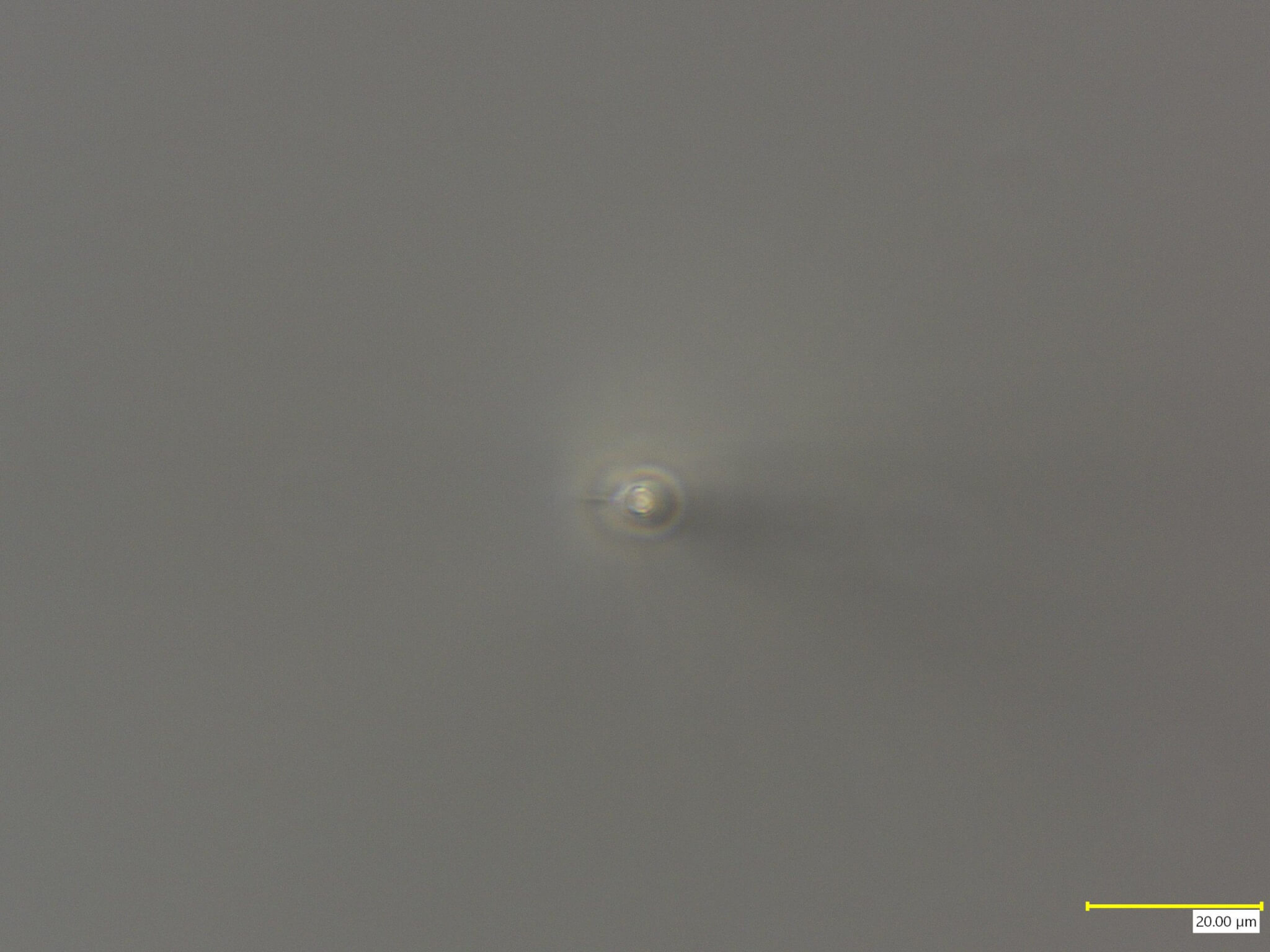 石英ガラス_穴あけ_4mm_裏面_x2000