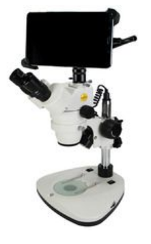 立体顕微鏡