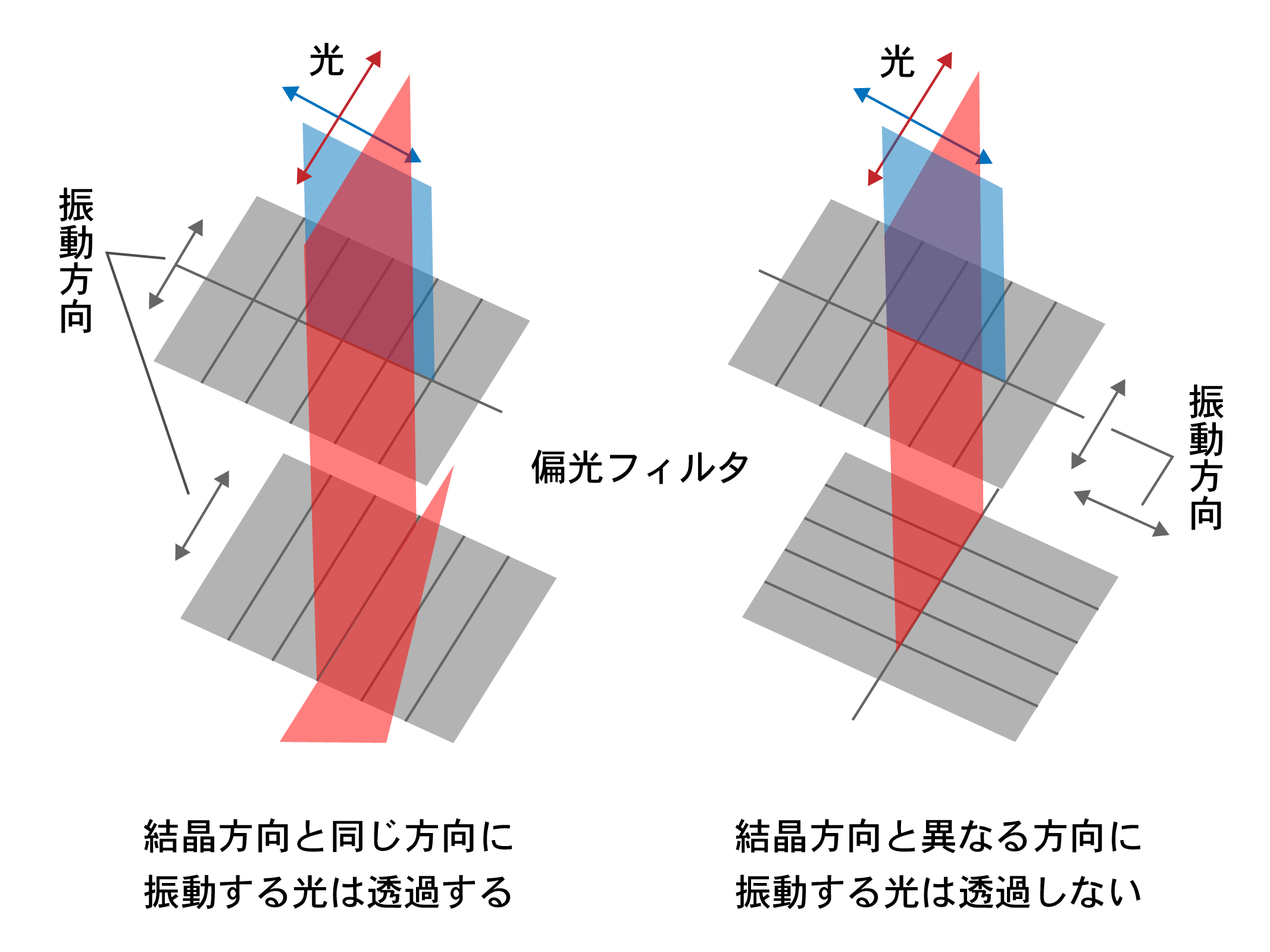 反射強度データ