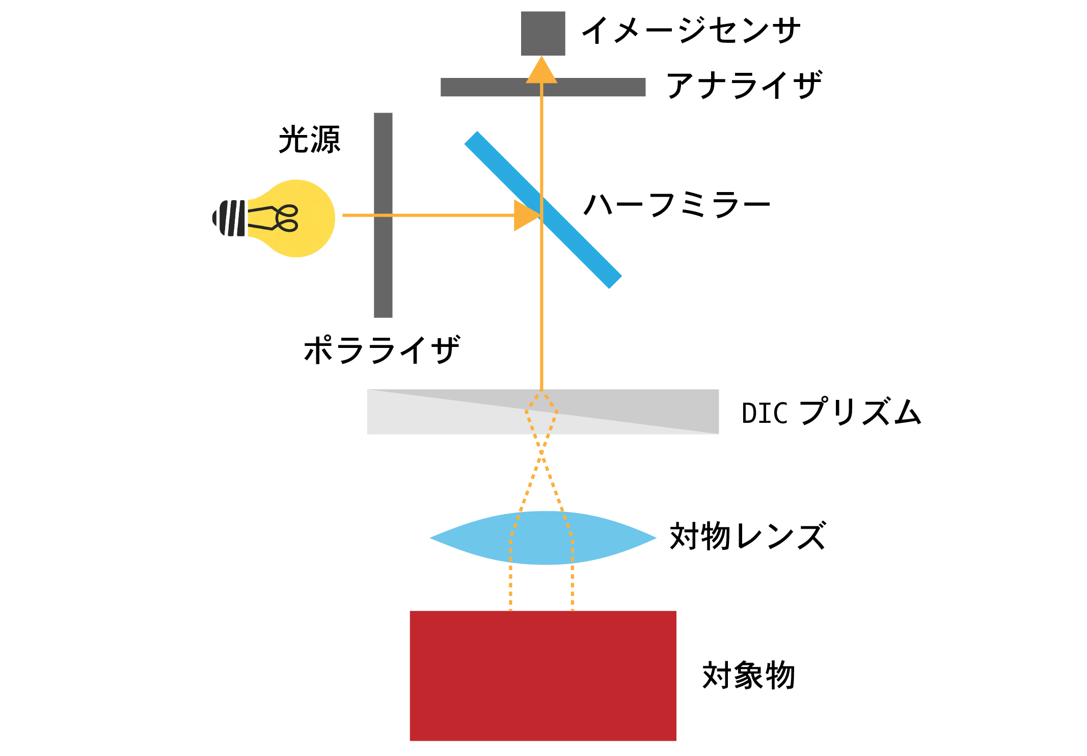 反射強度データ