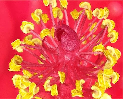 反射強度データ