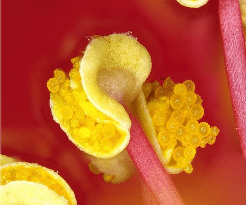 反射強度データ