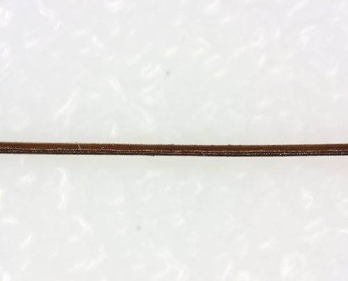 反射強度データ