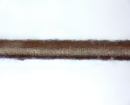 反射強度データ