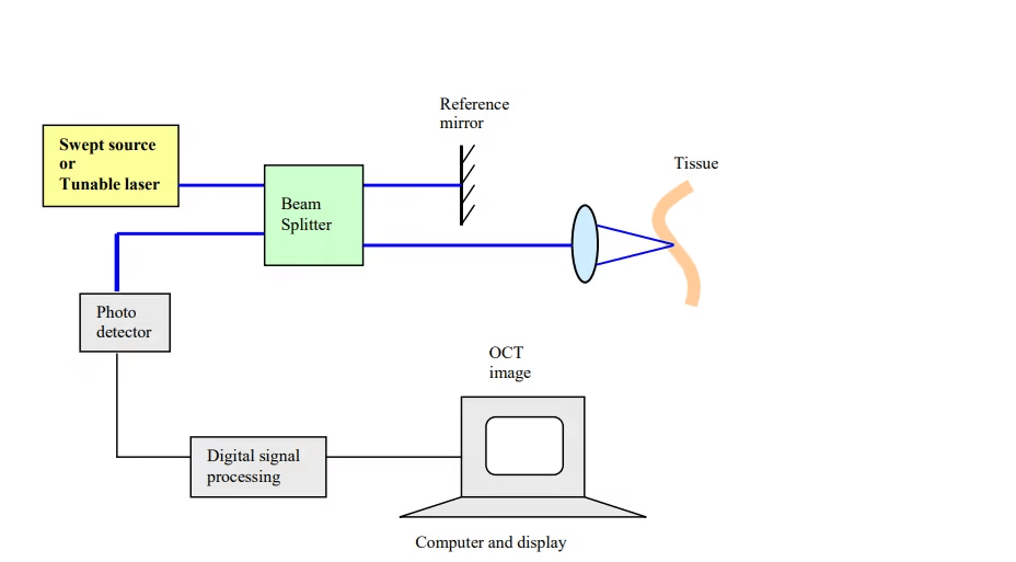 図2 スウェプトソースまたは波長可変レーザーを用いた周波数領域OCTの基本構成 [2]