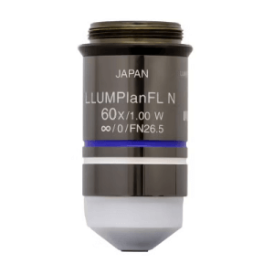 LUMPLFLN60XW