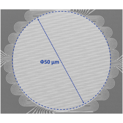 広いアクティブエリア
