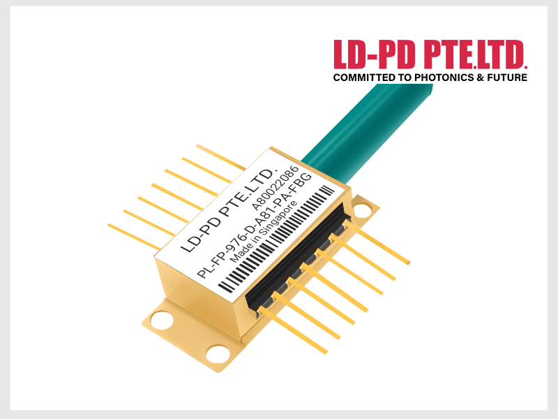 PL-FP-976-D-A81-PA-FBG