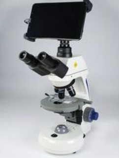 デジタルスクリーン顕微鏡