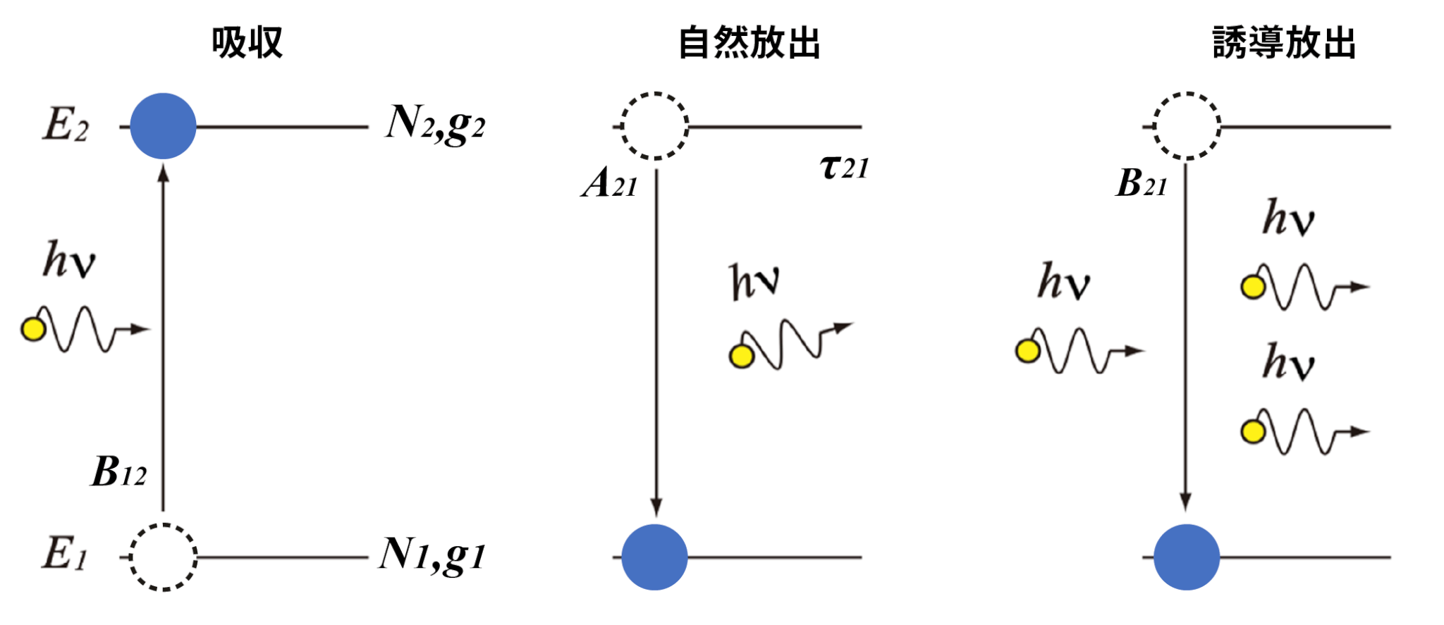 吸収(absorption)、自然放出(spontaneous emission)、誘導放出(stimulated emission)