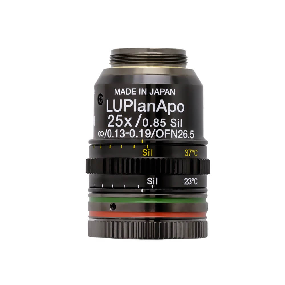 luplapo25xs