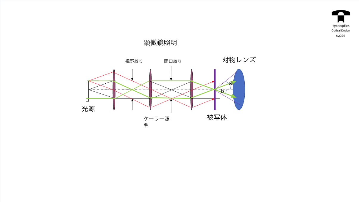 照明系